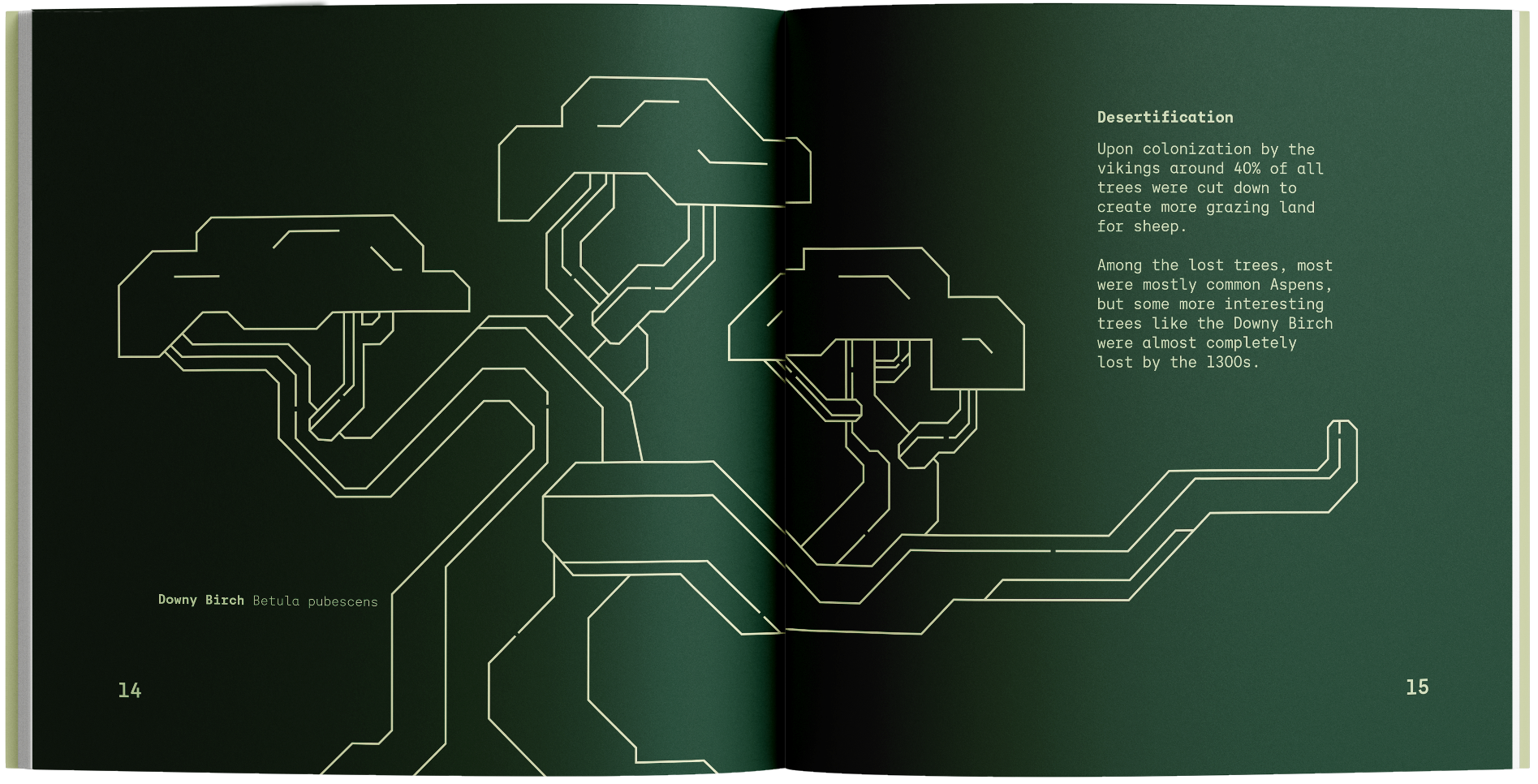 Book Image 2-3